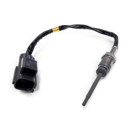 Palpeur (température des...