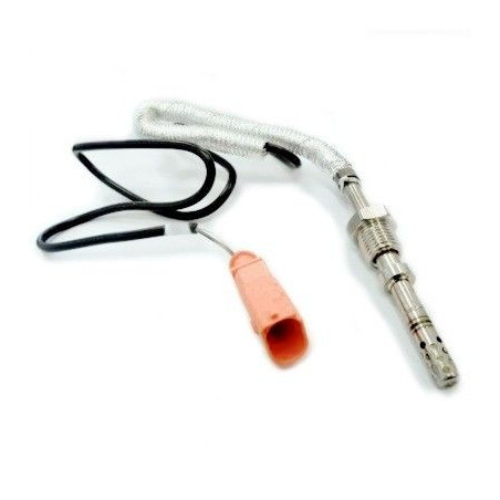 Palpeur (température des...