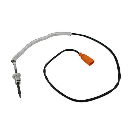 Palpeur (température des...