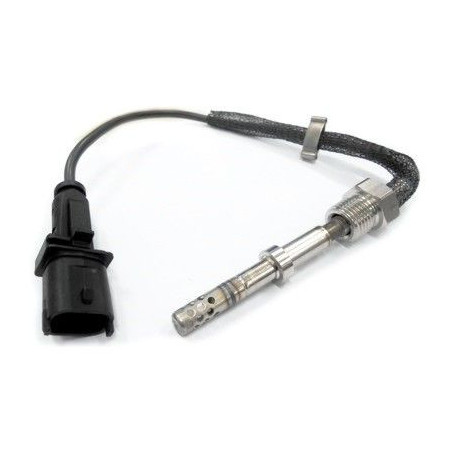 Palpeur (température des...