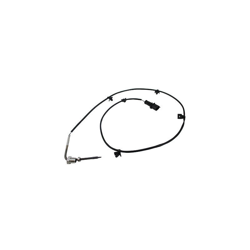 Palpeur (température des gaz) MEAT & DORIA