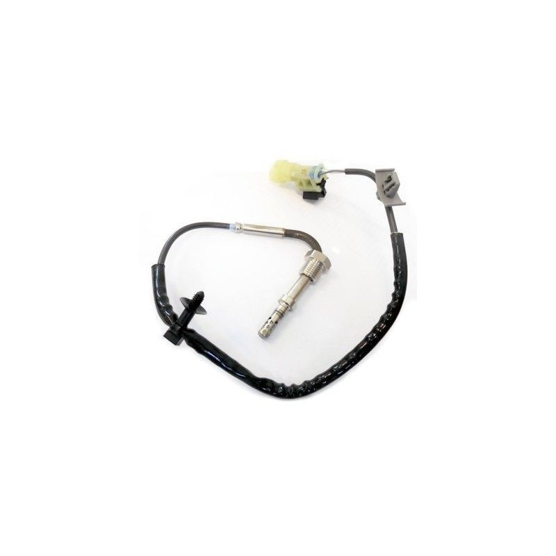 Palpeur (température des gaz) MEAT & DORIA