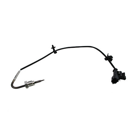 Palpeur (température des...