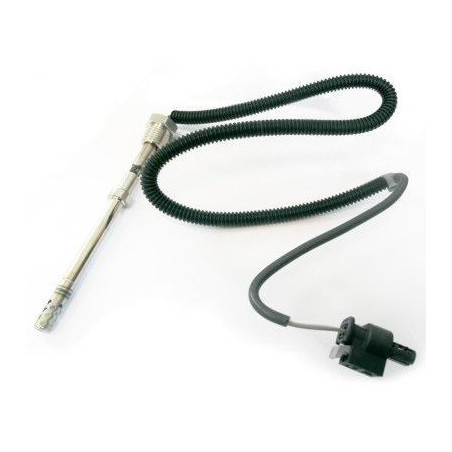 Palpeur (température des...