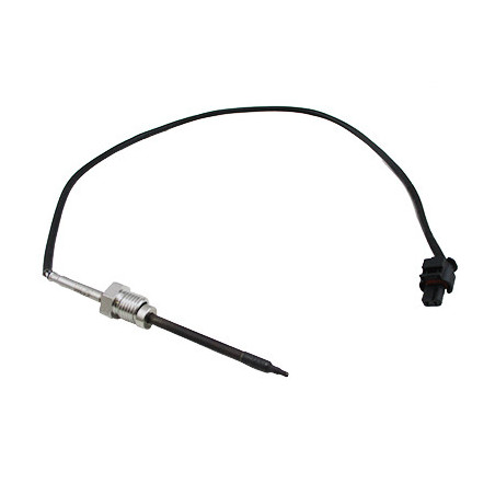 Palpeur (température des...