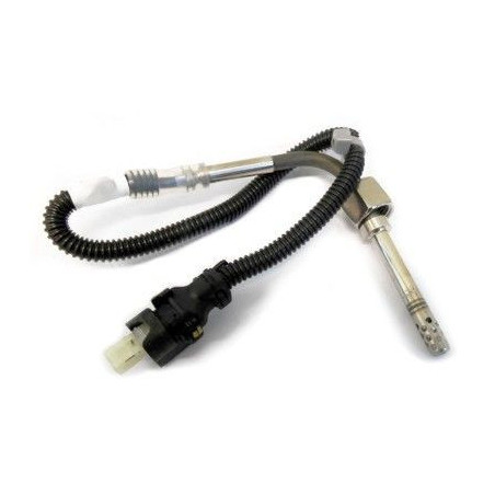 Palpeur (température des...