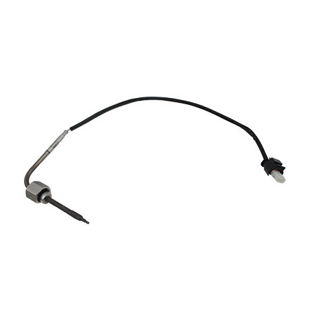 Palpeur (température des...