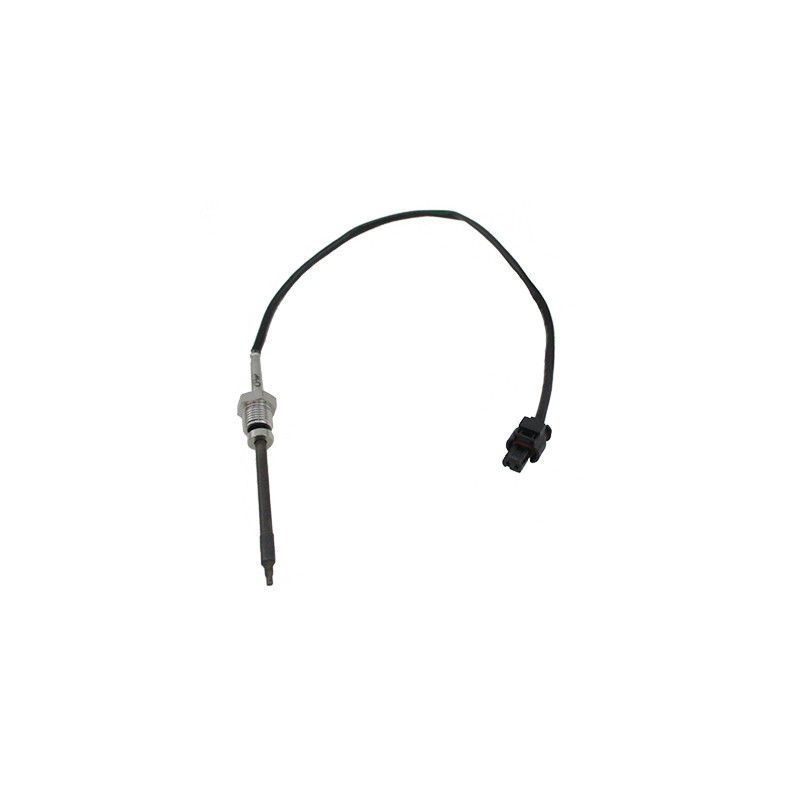 Palpeur (température des gaz) MEAT & DORIA