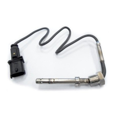 Palpeur (température des...