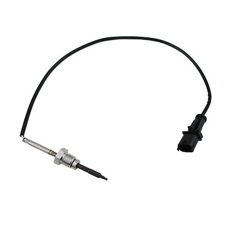 Palpeur (température des...