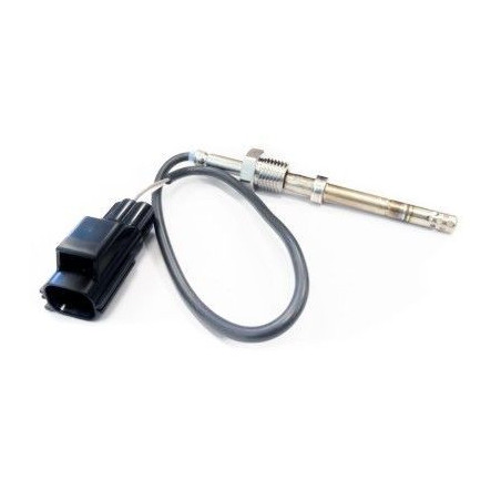 Palpeur (température des...