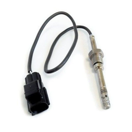 Palpeur (température des...