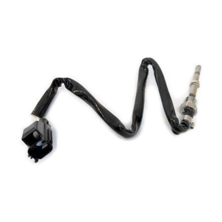 Palpeur (température des...