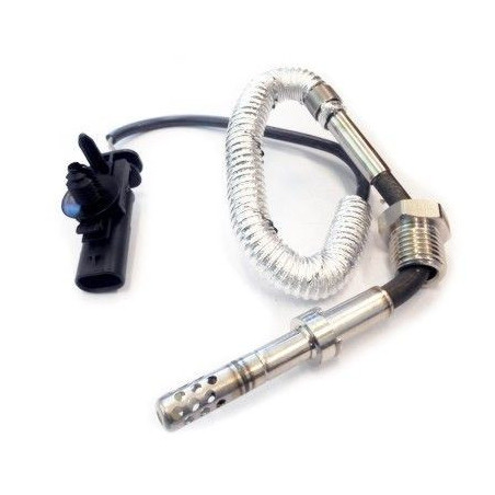 Palpeur (température des...