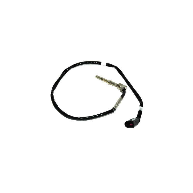 Palpeur (température des gaz) MEAT & DORIA