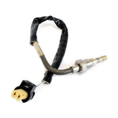 Palpeur (température des...