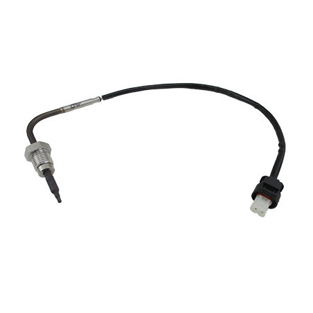 Palpeur (température des...