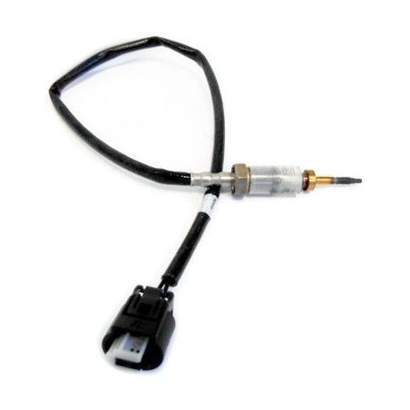 Palpeur (température des...