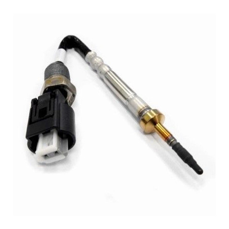 Palpeur (température des...