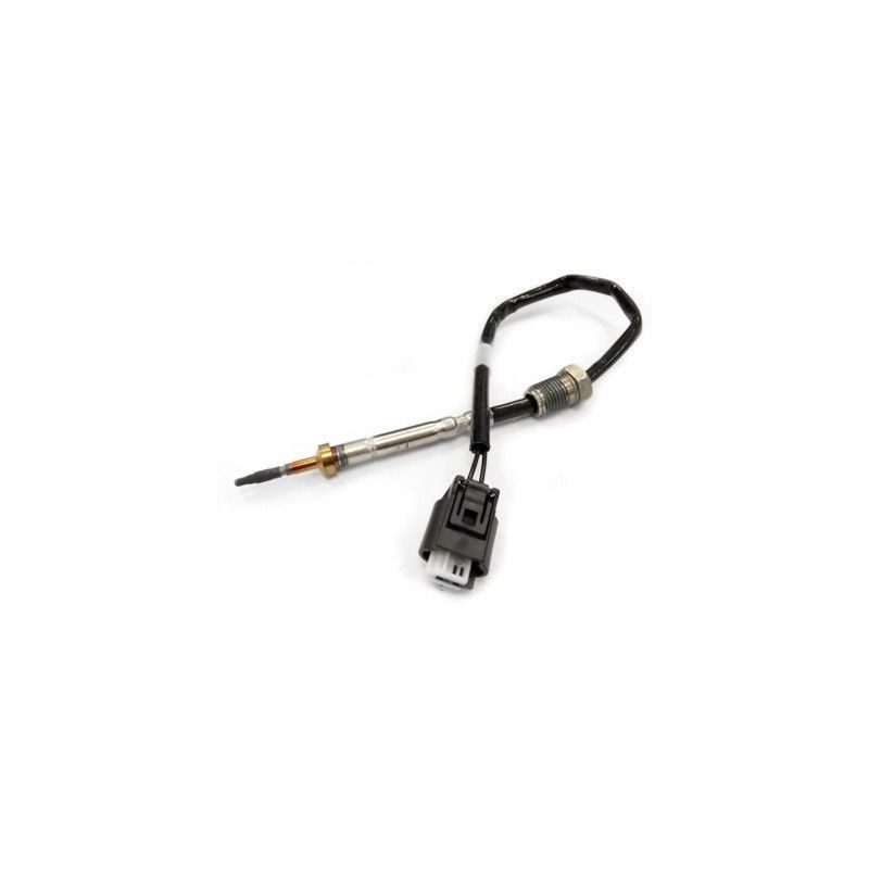 Palpeur (température des gaz) MEAT & DORIA