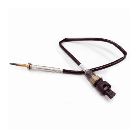 Palpeur (température des gaz) MEAT & DORIA