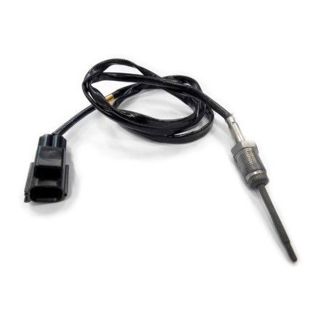 Palpeur (température des...