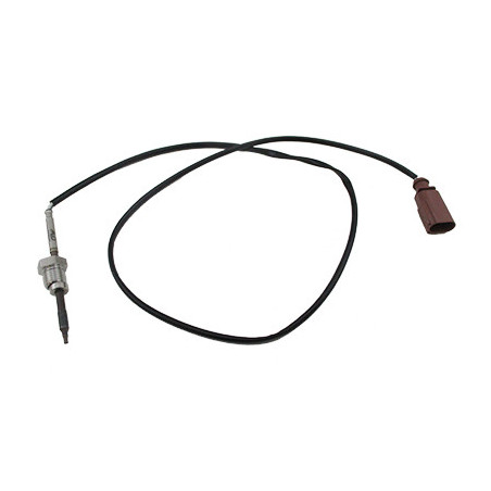 Palpeur (température des...