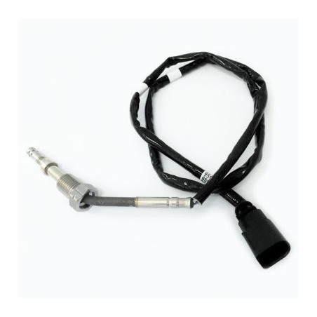 Palpeur (température des...