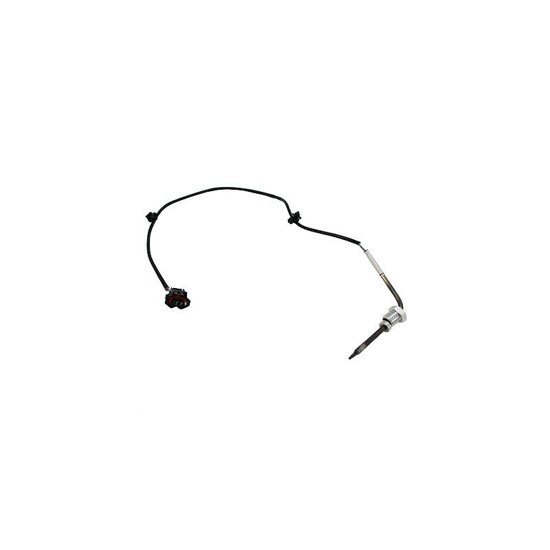 Palpeur (température des gaz) MEAT & DORIA