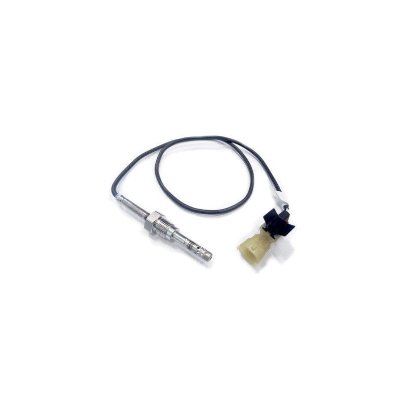 Palpeur (température des gaz) MEAT & DORIA