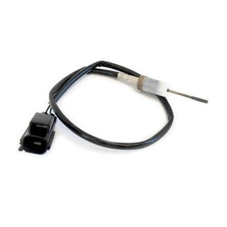 Palpeur (température des...