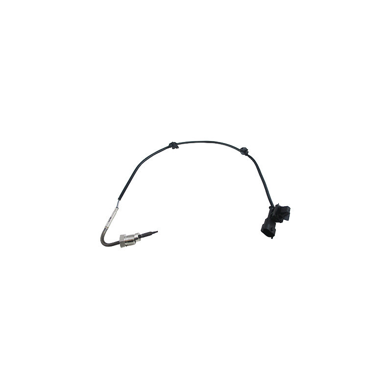 Palpeur (température des gaz) MEAT & DORIA