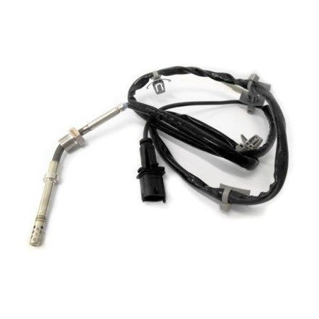 Palpeur (température des...