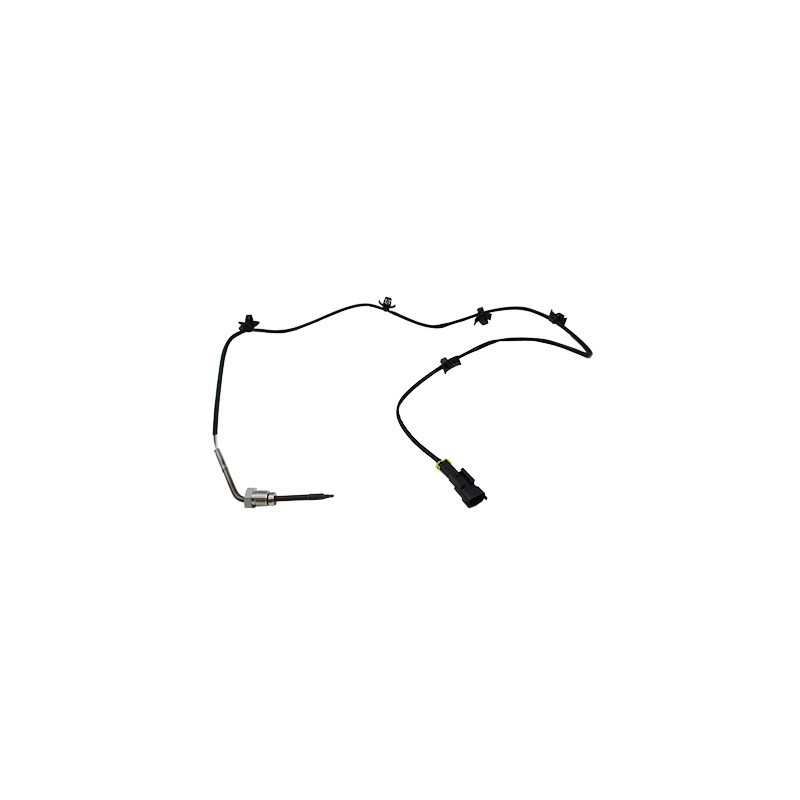 Palpeur (température des gaz) MEAT & DORIA