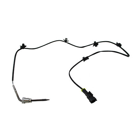 Palpeur (température des...