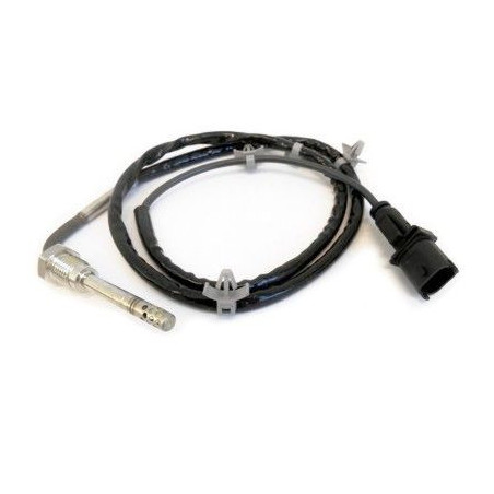 Palpeur (température des...