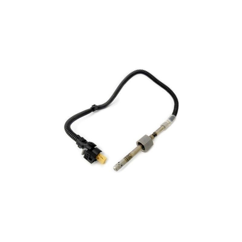 Palpeur (température des gaz) MEAT & DORIA