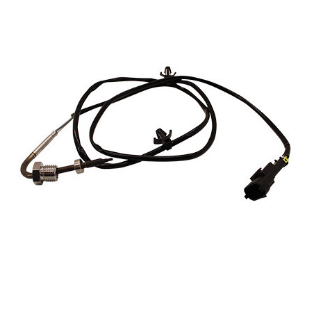 Palpeur (température des...