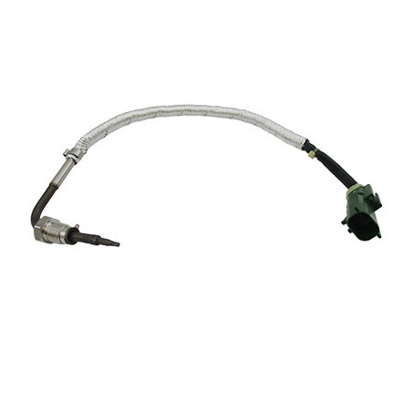 Palpeur (température des...