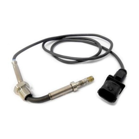 Palpeur (température des...