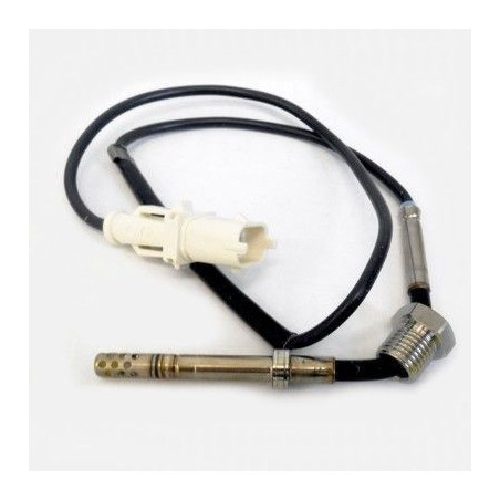 Palpeur (température des...