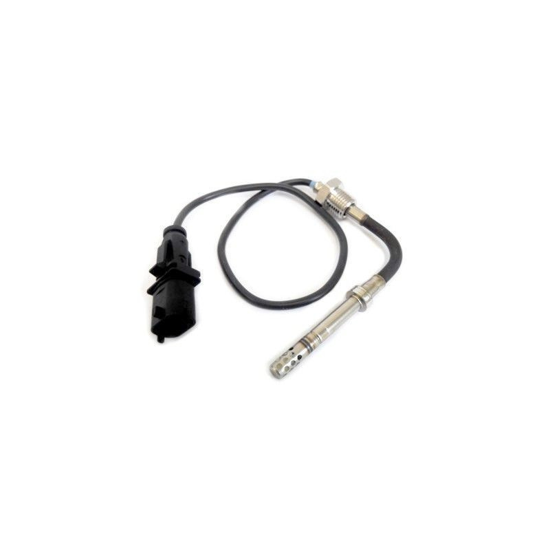 Palpeur (température des gaz) MEAT & DORIA