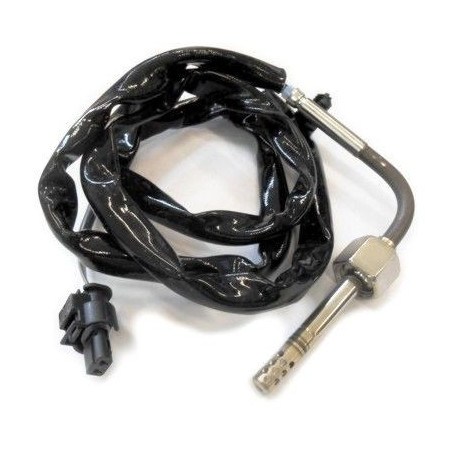 Palpeur (température des...