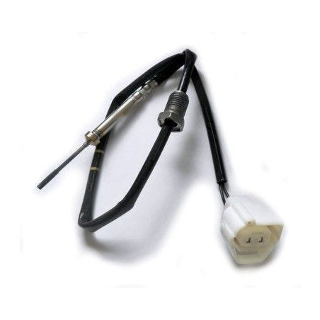 Palpeur (température des...