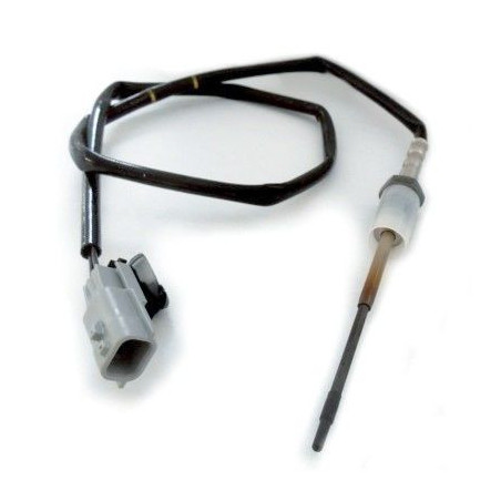 Palpeur (température des...