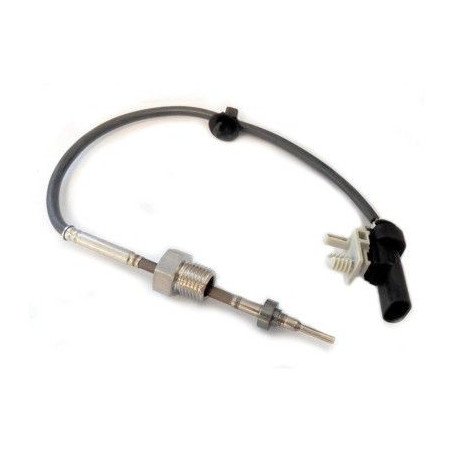 Palpeur (température des...