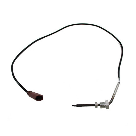 Palpeur (température des...