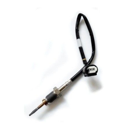 Palpeur (température des gaz) MEAT & DORIA