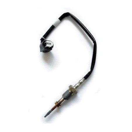 Palpeur (température des...