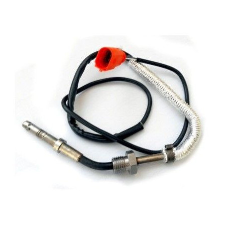 Palpeur (température des...